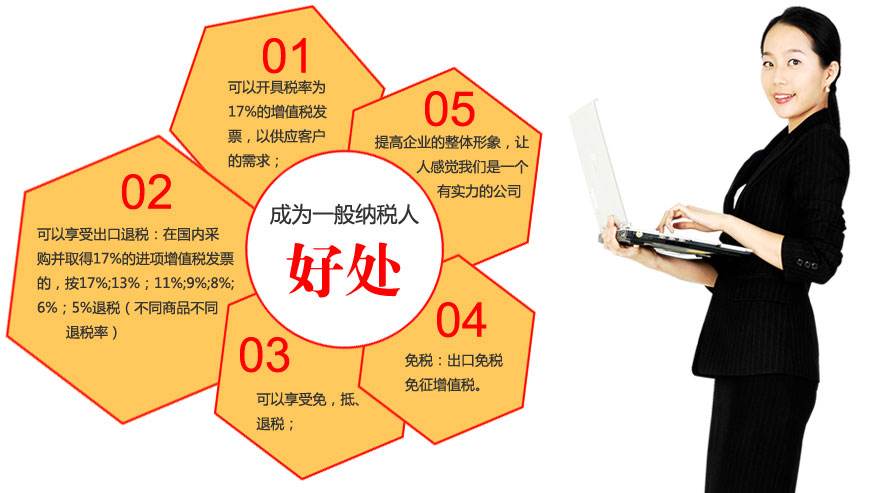 [一般納稅人]一般納稅人記賬報(bào)稅