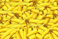 在深圳注冊(cè)水果批發(fā)公司，要如何辦理？
